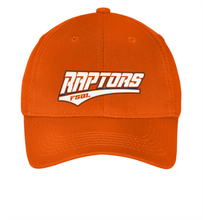 Load image into Gallery viewer, Raptors Hats-001