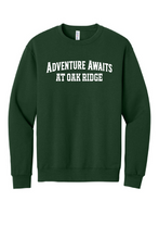 Load image into Gallery viewer, PBIS Oak Ridge Let's All Get on Board- Crew Neck - Forest Green