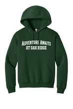 Load image into Gallery viewer, PBIS Oak Ridge Let's All Get on Board- Hoodie - Forest Green