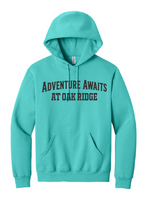 Load image into Gallery viewer, PBIS Oak Ridge Let's All Get on Board- Hoodie - Scuba Blue